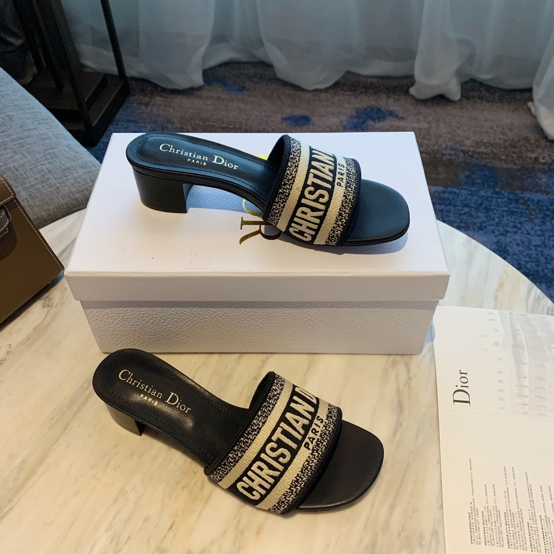 D I O R slides (2 Options)